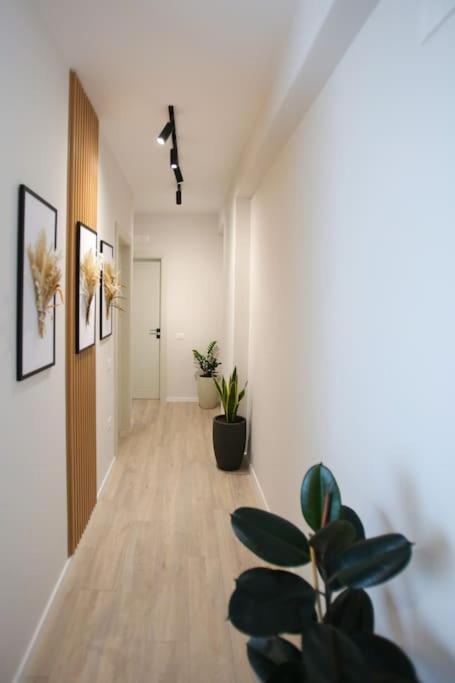 Taushani Apartment, * Vlore